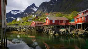 Speciale crociera estiva Tour guidato delle Lofoten