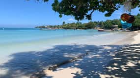 Ocho Rios: Passeios turísticos& Praia com paragens para almoço& Compras