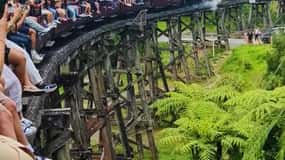 Melbourne: Puffingbilly Train and Penguin Island Day Tour