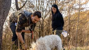 Langhe: caccia al tartufo al tramonto con degustazione e vino