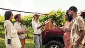 Lac de Garde : Visite privée en 4x4 d'un vignoble avec dégustation de vin