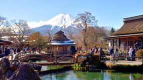 Tokyo: Mt Fuji & Hakone Customizable Full Day Private tour