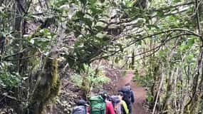 Tenerife: Senderismo Anaga, Bosque Mágico, Reserva Biosfera