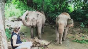 Siem Reap: Viagem privada para desminagem de elefantes e ratos Apopo