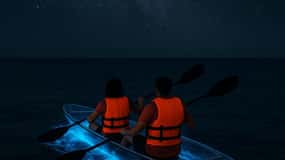 Titusville: Bioluminescente kajaktocht