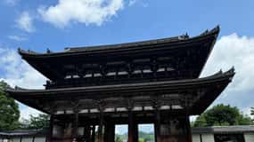 Kyoto: Tour di Ninna-ji, pagoda e giardini mozzafiato in 75 minuti