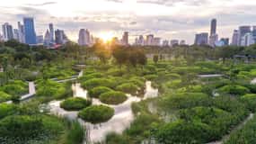 Sewa Basikal Bangkok Taman Benjakitti