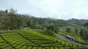 Day Trip White Crater Ciwidey Bandung All In - Tour Guide