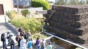 Tenerife: Rondleiding bij Pirámides de Güímar