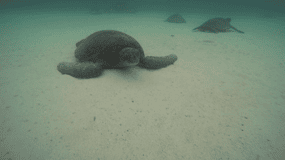 San Cristobal 360 in Galapagos full-day tour