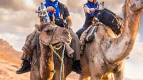 From Marrakech: High Atlas Mountains and 4 Valleys Day Trip