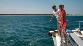 Sydney: Port Stephens Dolphin Watching & Sand Dunes Day Tour