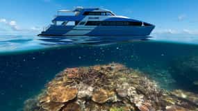 Airlie Beach: Outer Barrier Reef Snorkeling Day Trip