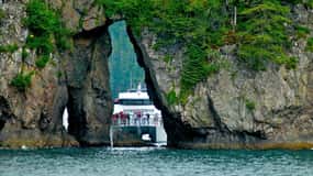 Seward: Captain's Choice Kenai Fjords National Park Tour