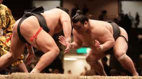 名古屋:大相撲名古屋場所 A指定席＆エキスパートガイド