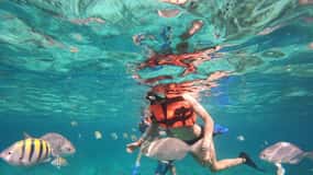 Isla Mujeres: Aventura de snorkel en el Museo Subacuático
