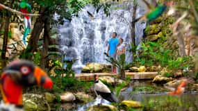 From Cancun: Xcaret Plus Park, the complete experience