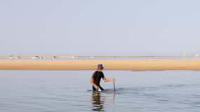 Olhão : Tour en bateau de la Ria Formosa avec dégustation d'huîtres