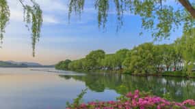 Hangzhou: West Lake and Tea Plantation Day Trip