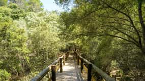 Mallorca : Reserva Park Entry ticket with Nature & animals