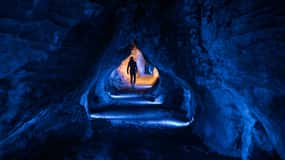 RUAKURI CAVE & HAMILTON GARDENS-PRIVATE TOUR FROM AUCKLAND