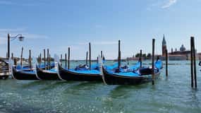 Excursion en gondole avec le concert des Quatre Saisons de VENISE à GONDOLA