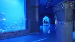Biglietto d'ingresso: Grande Acquario Hurgada
