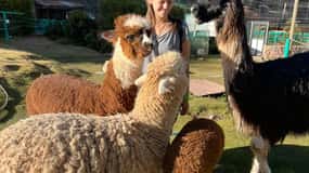 Cusco : Visite du sanctuaire de Cochahuasi avec des animaux sauvés