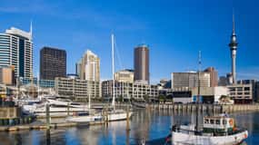 Auckland: Private City Tour with Mount Victoria and Mt. Eden