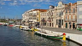 From Porto to Aveiro: Cruise, Aves, Salinas, Costa Nova, and Vista Alegre