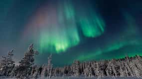 Rovaniemi: Tour zur Aurora-Jagd im Wald mit heißen Getränken