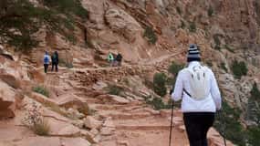 From Sedona: Grand Canyon Guided Tour