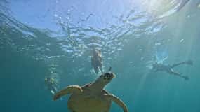 Cancun: Rejs wycieczkowy ze sprzętem do snorkelingu