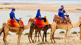 Agadir: Camel Ride With Tea & BBQ Dinner Option
