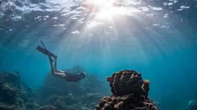 Bahía de Coral: Excursión de día completo al Arrecife Ningaloo con Manta Rayas