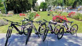 Piran: e-bike Eslovenia, alquiler de bicicletas