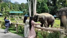 Kuala Lumpur: Privat udflugt til Kuala Gandah og Batu Caves