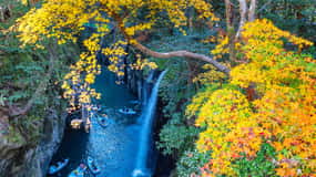 Da Fukuoka: Escursione di un giorno alla Gola di Takachiho e al Santuario di Miyazaki