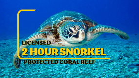 LICENSIERAD Två timmars snorklingsäventyr Cahuita National Park