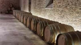 Cerros de San Juan: Oldest Winery Tour with Lunch & Transfer