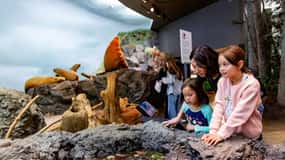 Royal B.C. Museum in Victoria: Full-Day Admission Ticket