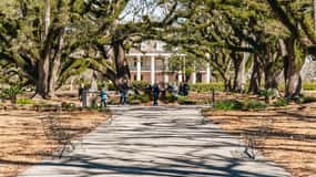 New Orleans: Oak Alley Plantation & Airboat Swamp Combo Tour