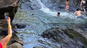 El Yunque Tour Rain Forest and Water Slide Puerto Rico