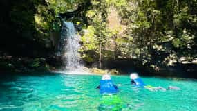 The BEST Shizuoka Tours and Excursions in 2025 - FREE