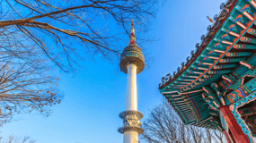 Билет на башню N Seoul Tower и набор N Burger/кофе/медовое печенье