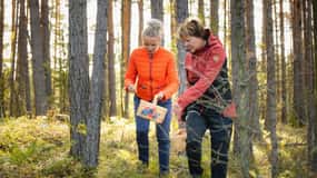 Lahti: Wild Food Foraging Tour with Tastings