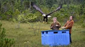 Sitka: Alaska Raptor Center Admission Ticket
