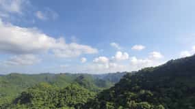 Half Day Hiking to Cat Ba National Park with a Guide