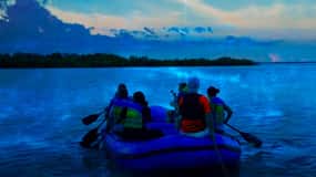 Merritt Island: Bioluminescent Paddle Raft Tour