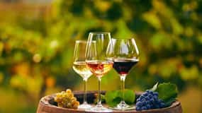 From Chania: Olive Oil, Wine, Cheese & Honey Tasting Tour